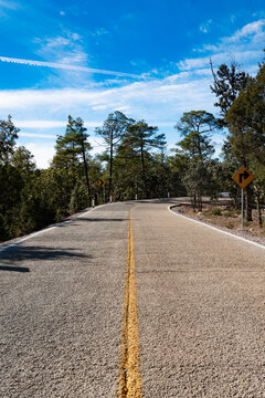 Carretera entre un bosque en barrancas del cobre M&eacute;xico