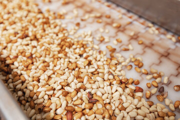 Raw ripe fresh brown pine nuts without shell on conveyor. Industrial organic food factory