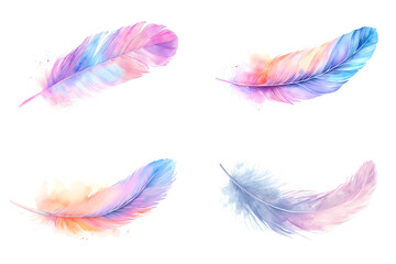 Soft pastel  feather  watercolor set isolated on white background