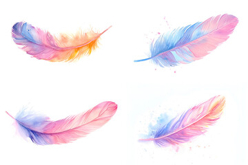 Soft pastel  feather  watercolor set isolated on white background