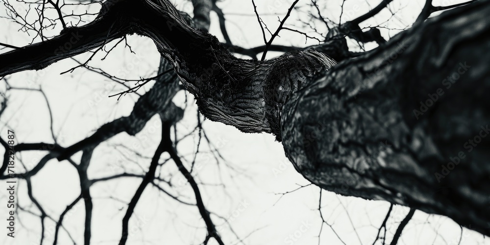 Poster a black and white photo capturing the beauty of a leafless tree. perfect for adding a minimalist tou