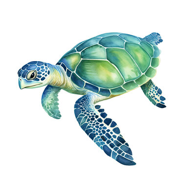 AI-generated watercolor Sea Turtle clip art illustration. Isolated elements on a white background.