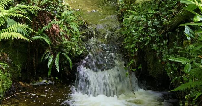 A serene waterfall in the heart of a tropical forest. pano