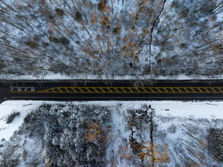 Plowed Roadway with snow covered trees