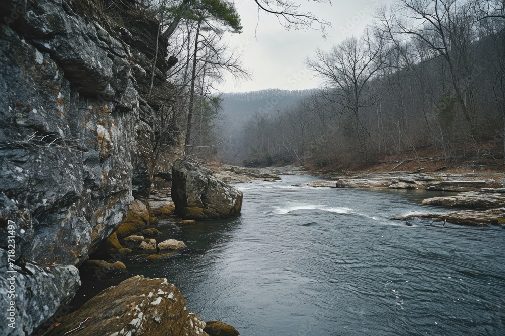 Aufkleber a scenic view of a river flowing through a dense forest filled with rocks. this image can be used to