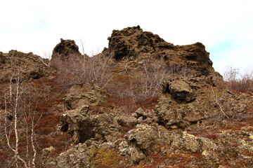 Dimmuborgir is a large area of unusually shaped lava fields east of Mývatn in Iceland