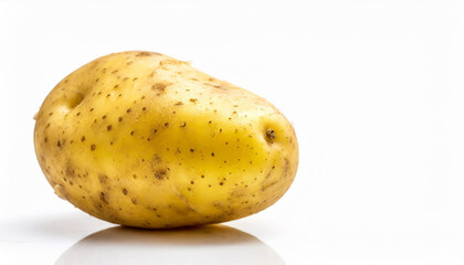 Potato Studio Shot Isolated on pure white background, copyspace on a side