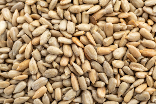 Background of peeled sunflower seeds close-up. Seeds. View from above