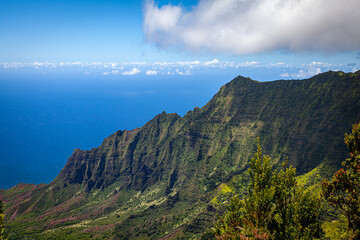 landscape of Hawaï