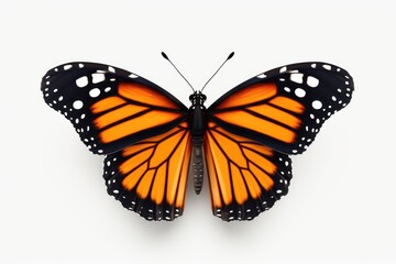 Isolated Monarch Butterfly with Vibrant Orange and Black Wings in Digital Render