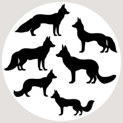 Fox silhouette white background. Vector design fox silhouette and illustration