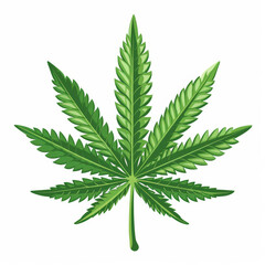 Cannabis sativa green leaf logo on white background. Growing medical marijuana. Celebration and consumption of cannabis and marijuana. 420 celebration day, cannabis liberalization and legalization.