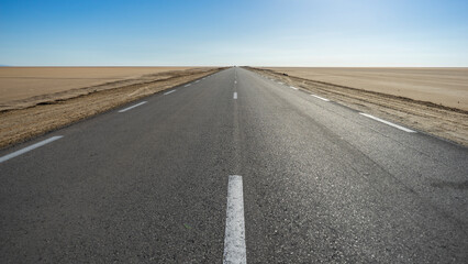 Fototapeta premium Road in the desert