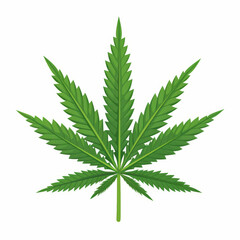 Cannabis sativa green leaf logo on white background. Growing medical marijuana. Celebration and consumption of cannabis and marijuana. 420 celebration day, cannabis liberalization and legalization.