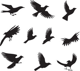 Obraz premium Birds Set black silhouette whitbackground
