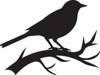 Birds Set black silhouette whitbackground