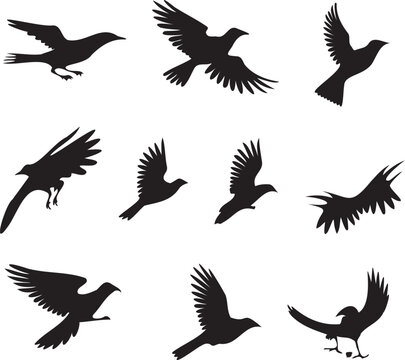 Birds Set black silhouette whitbackground