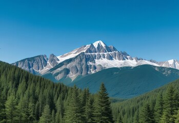 Obraz premium Mountain covered by forest and a blue sky