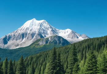 Obraz premium Mountain covered by forest and a blue sky