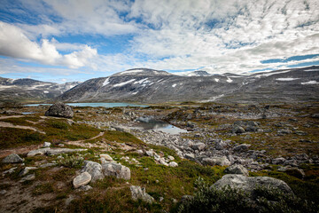 Fototapeta na wymiar Landscape of Norway in summer