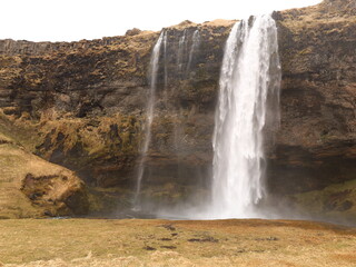 Obraz premium Seljalandsfoss is a 65-metre high waterfall in southern Iceland