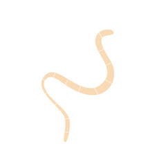 Worm parasites Illustration 
