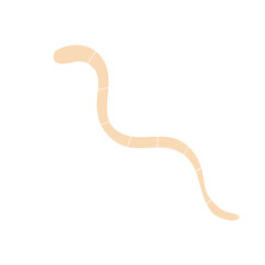 Worm parasites Illustration 