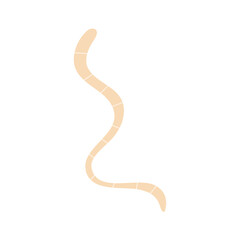 Worm parasites Illustration 