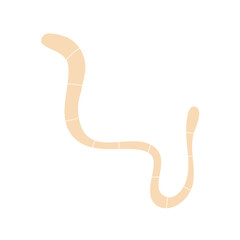 Worm parasites Illustration 