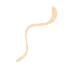 Worm parasites Illustration 