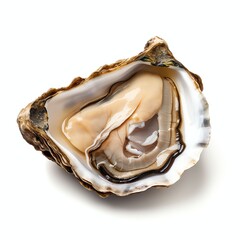 a oyster irish, studio light , isolated on white background