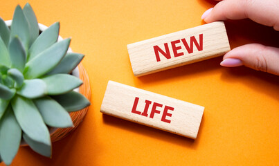 New life symbol. Wooden blocks with words New life. Beautiful orange background with succulent...