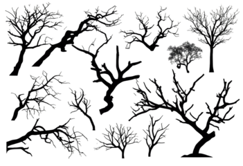 Collection of black silhouettes of tree branches isolated on transparent background