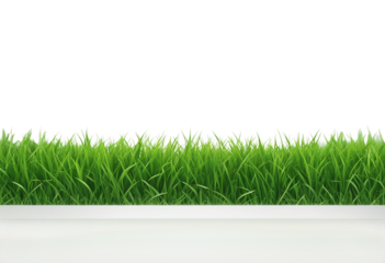 Bright green realistic seamless grass border isolated on transparent background