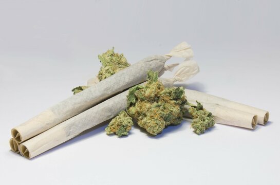 joint weed and marijuana buds isolated on white background THC cigarette isolated on white background
