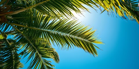 Fototapeta premium Tropical paradise: upward view of palm leaves against clear sky. summer vacation vibe. perfect for travel and nature themes. AI