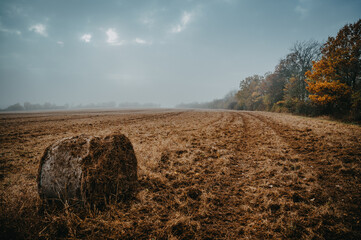 Melancholic beauty of raindrops kissing a lone straw bale in the fall landscape
