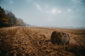 A bale of straw on an autumn rainy field. A photo of a melancholy autumn mood