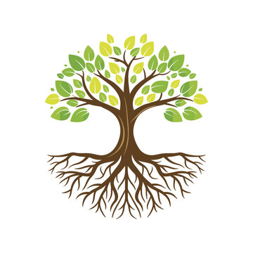 recommend clip art: Tree with roots vector illustration