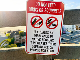 Do not feed the wildlife sign - 718276087