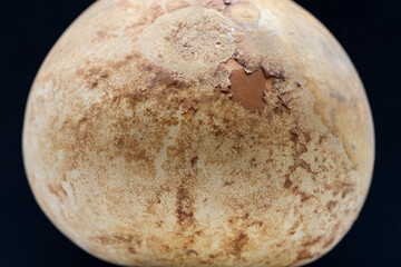 Superficie de una vieja calabaza con fondo negro, pareciendo  un planeta en el espacio © KukiLadrondeGuevara