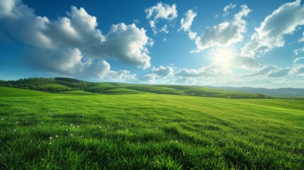 Fototapeta na wymiar Serene Grassy Landscape Under a Clear Sky Generative AI