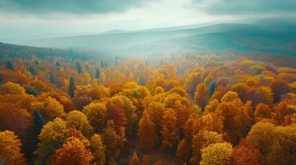 Fototapeta na wymiar Autumn Forest Flight: Epic Mountain Landscape Aerial Footage Generative AI