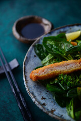 japanese fusion food