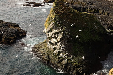 View on the West Coast of the Snæfellsnes Peninsula, Iceland