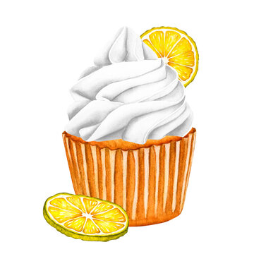 recommend clip art: Lemon cupcakes with white butter cream and slice of lemon. Watercolor illustration sweet muffin isolated on white background. Romantic cake with lemons, wedding sweets