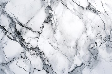 white marble - obrazy, fototapety, plakaty