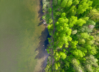 Aerial view of lake or river green shore with forest. Summer season.