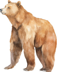 Brown bear watercolor created with Generative AI technology