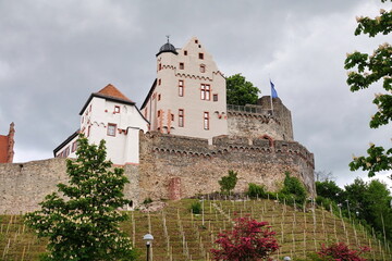 Burg Alzenau